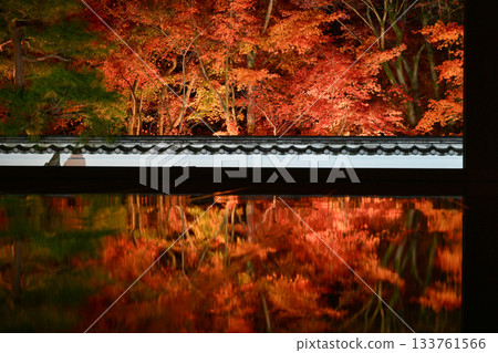 奉德寺的地板楓木燈飾 奉德寺的地板楓木燈飾 133761566