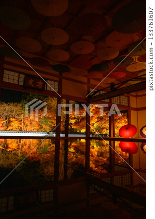 Hotokuji’s floor maple illumination 133761607