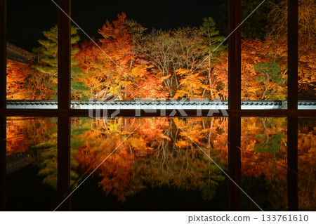 奉德寺的地板楓木燈飾 133761610