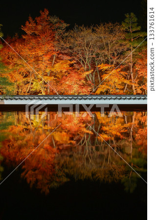 奉德寺的地板楓木燈飾 奉德寺的地板楓木燈飾 133761614