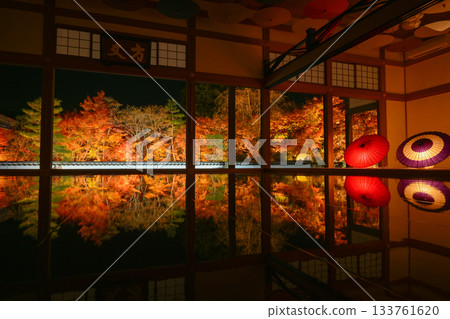 奉德寺的地板楓木燈飾 133761620