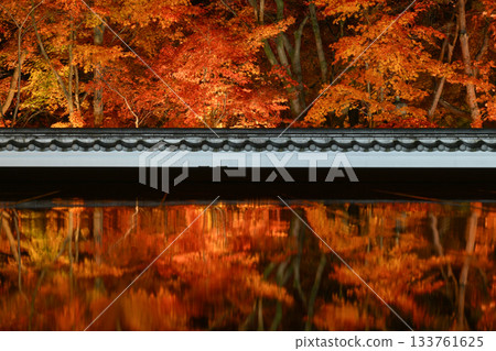 奉德寺的地板楓木燈飾 133761625