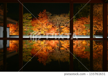 奉德寺的地板楓木燈飾 133761631