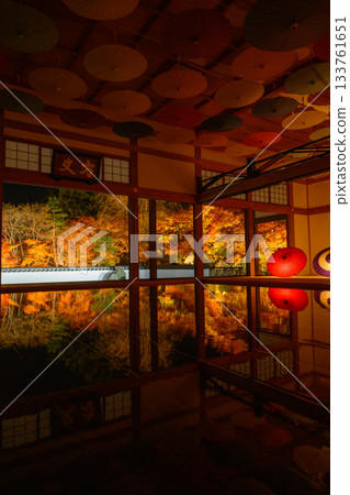 Hotokuji’s floor maple illumination Hotokuji’s floor maple illumination 133761651
