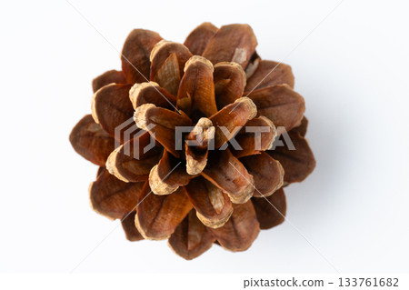 白色背景上的單一鬆果 133761682