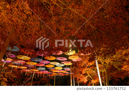 Autumn illuminations at Houtokuji Temple 133761752