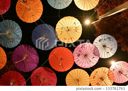 法德寺的秋季燈光秀 133761763