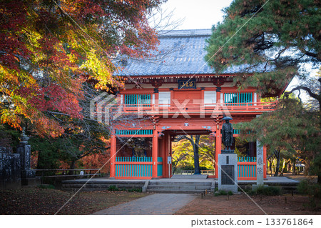 Konjoin Temple surrounded by autumn leaves in Noda City, Chiba Prefecture 133761864