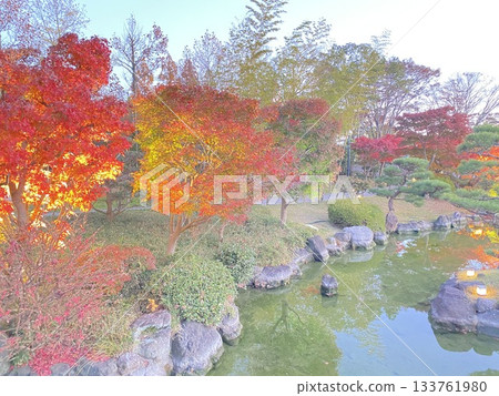 Nature Nature Nature Nature 133761980