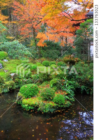 Autumn at Ohara Sanzen-in Temple (Garden, Kyoto City, Vertical Composition) Autumn at Ohara Sanzen-in Temple (Garden, Kyoto City, Vertical Composition) 133763023