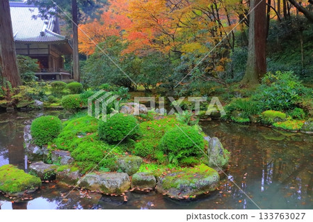 Autumn at Ohara Sanzen-in Temple (Garden, Kyoto City) Autumn at Ohara Sanzen-in Temple (Garden, Kyoto City) 133763027