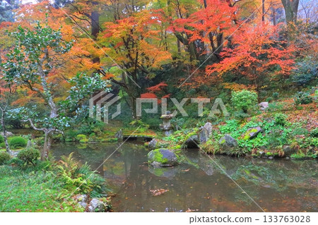 Autumn at Ohara Sanzen-in Temple (Garden, Kyoto City) 133763028
