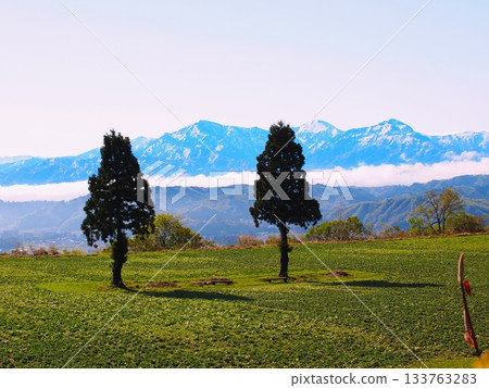 Ojiya City, Niigata Prefecture, Ojiyayama, Ojiyasan ... Ojiya City, Niigata Prefecture, Ojiyayama, Ojiyasan ... 133763283
