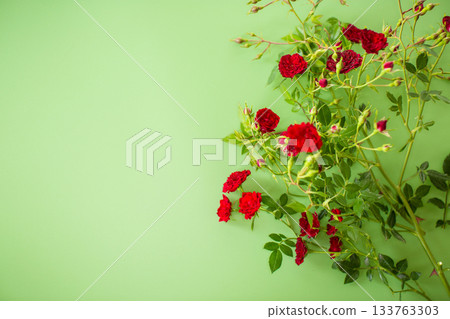 Arrangement of small red roses isolated on green Arrangement of small red roses isolated on green 133763303
