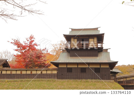 The two-story tower of Sakai Castle surrounded by autumn leaves The two-story tower of Sakai Castle surrounded by autumn leaves 133764110