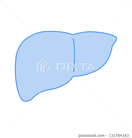 藍色單色肝臟插圖 133764163