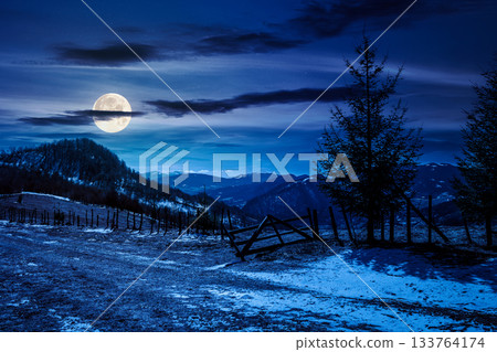 countryside mountain landscape in spring at night. spruce trees near rural fence on meadow with snow in full moon light. snowy tops on distant ridge. backdrop for fiction art or mystery concepts countryside mountain landscape in spring at night. spruce trees near rural fence on meadow with snow in full moon light. snowy tops on distant ridge. backdrop for fiction art or mystery concepts 133764174