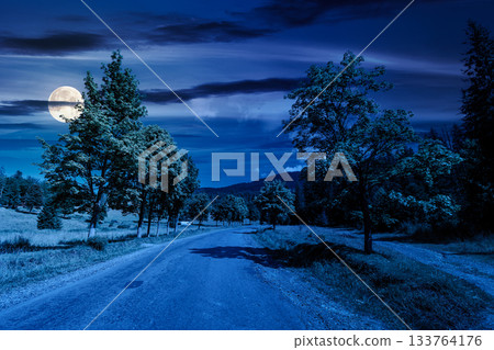 old road through forest in mountains at night. beautiful summer landscape with clouds above the distant ridge in full moon light. beech trees along the path. finance investment or abstract concepts old road through forest in mountains at night. beautiful summer landscape with clouds above the distant ridge in full moon light. beech trees along the path. finance investment or abstract concepts 133764176