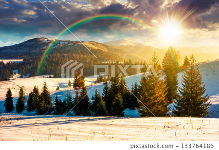 fir trees on snowy hillsides at sunset. stunning nature scenery in mountains in evening light. winter holidays wallpaper. countryside landscape. timeless nostalgia book cover with rainbow 133764186