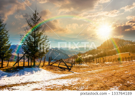 countryside mountain landscape in spring at sunset. spruce trees near rural fence on meadow with melting snow in evening light. snowy tops on distant ridge. timeless nostalgia book cover with rainbow 133764189