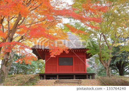 Kannon Hall surrounded by autumn leaves Kannon Hall surrounded by autumn leaves 133764240