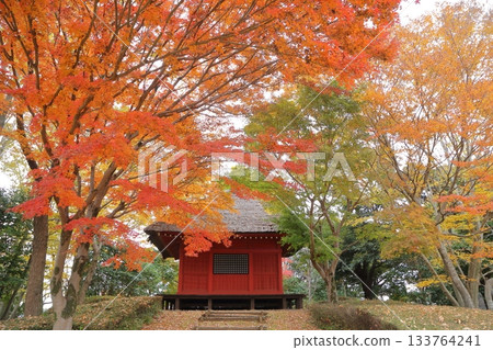 Kannon Hall surrounded by autumn leaves Kannon Hall surrounded by autumn leaves 133764241