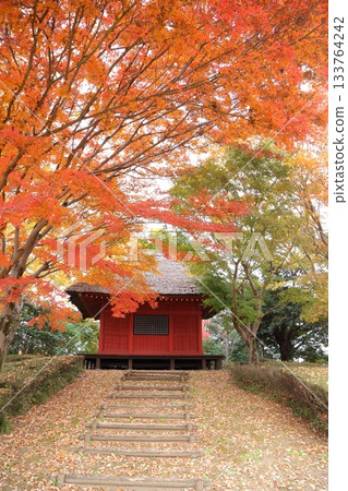 秋葉環繞著觀音堂 133764242