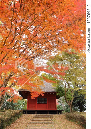 Kannon Hall surrounded by autumn leaves 133764243
