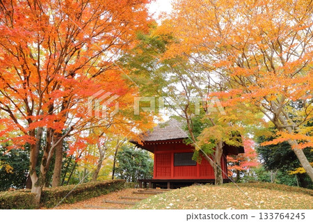 Kannon Hall surrounded by autumn leaves Kannon Hall surrounded by autumn leaves 133764245