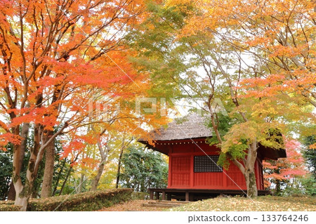 Kannon Hall surrounded by autumn leaves Kannon Hall surrounded by autumn leaves 133764246