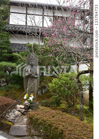 京都局的聖觀音菩薩 京都局的聖觀音菩薩 133764733