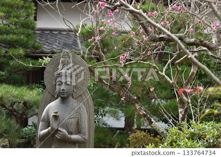 京都局的聖觀音菩薩 京都局的聖觀音菩薩 133764734