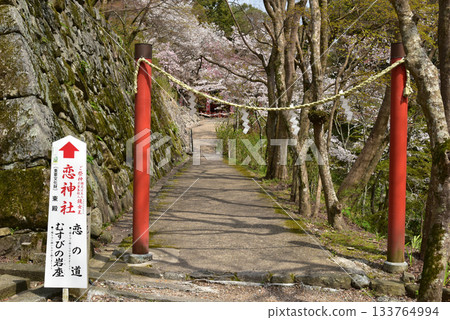 Spring Love Road Koi Shrine Spring Love Road Koi Shrine 133764994