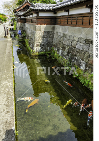 宮崎縣日南市右町通帶木城町鯉魚游泳區 133765550