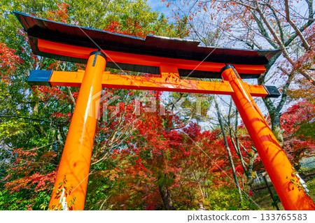 秋日京都府宇治市宇治上神社朱紅色的鳥居 133765583