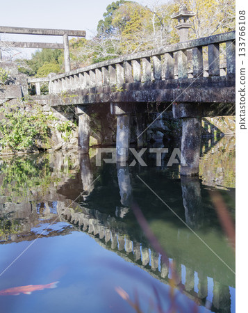 Scenery of carp swimming on Otate-mikado Bridge at Hitoyoshi Gokoku Shrine Scenery of carp swimming on Otate-mikado Bridge at Hitoyoshi Gokoku Shrine 133766108