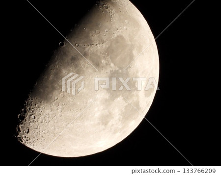 Moon Moon 133766209