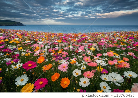Endless sea of flowers stretches to the horizon in vibrant landscape 133766455