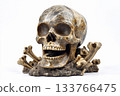 Skull carved from stone with crossbones design in a minimalistic setting 133766475