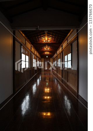 歷史悠久的豪華旅館的復古走廊（豎圖） 133766670