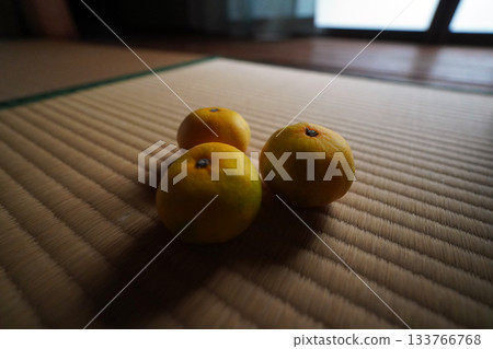 昭和柑橘 133766768