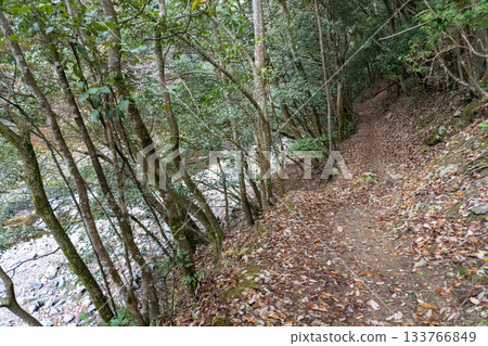 Scenery of the Kyoto Loop Trail and its surroundings 133766849