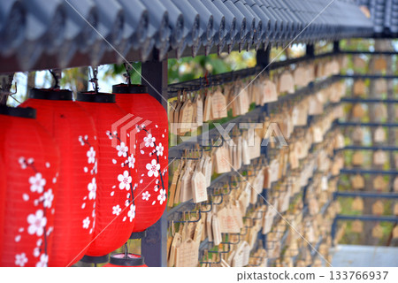 Japanese-style wooden plate for writing wishes for success hanging in rows decorated with red lanterns Japanese-style wooden plate for writing wishes for success hanging in rows decorated with red lanterns 133766937