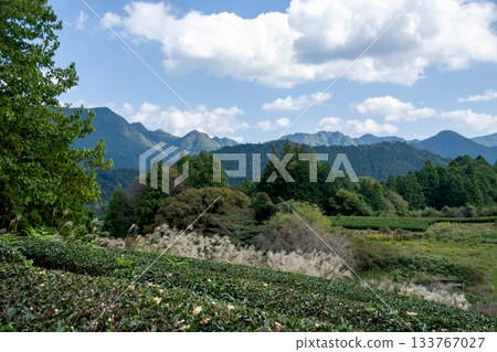 Satoyama scenery with tea fields Satoyama scenery with tea fields 133767027