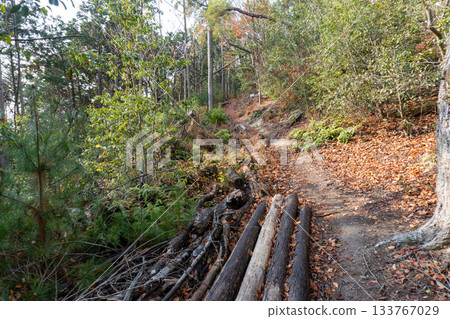 Scenery of the Kyoto Loop Trail and its surroundings 133767029