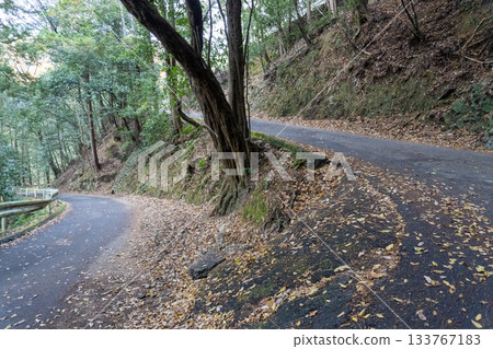 Scenery of the Kyoto Loop Trail and its surroundings 133767183
