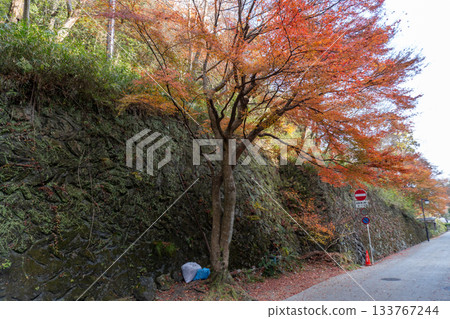 Scenery of the Kyoto Loop Trail and its surroundings 133767244