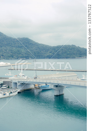 A peaceful landscape of a port town and mountains 133767522