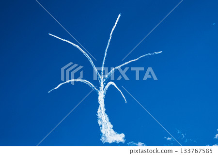 2025 Iruma Air Show Blue Impulse 2025 Iruma Air Show Blue Impulse 133767585