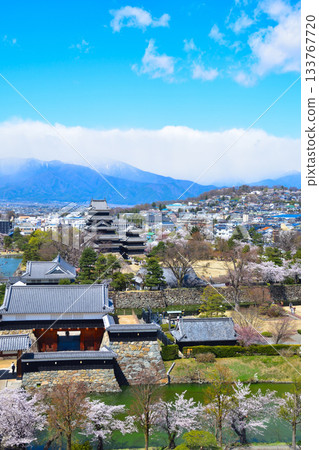 春天的松本城 春天的松本城 133767720